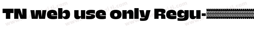 TN web use only Regu字体转换